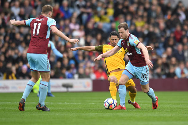 纳能否汲取 纳能否汲取